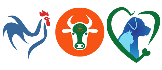  Pet & Cow & Veterinary